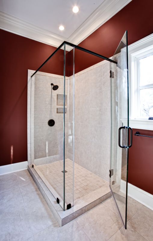 Modern Shower with Glass Enclosure